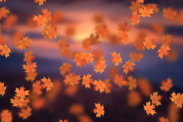 Idyllisch Schöne Verschwommene Herbstlandschaft Mit Herbstblättern Der Sonne Tag Freien — Stockfoto