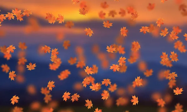 Idyllisch Schöne Verschwommene Herbstlandschaft Mit Herbstblättern Der Sonne Tag Freien — Stockfoto