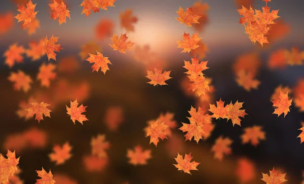 Idyllisch Mooi Wazig Herfstlandschap Met Herfstbladeren Zon Dag Buiten Gouden — Stockfoto