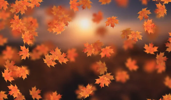 Идиллия Красивого Размытого Осеннего Пейзажа Осенними Листьями Лучах Солнца Дневным — стоковое фото