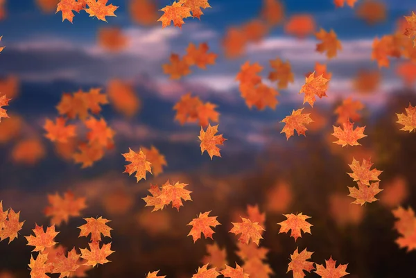 Idyllisch Schöne Verschwommene Herbstlandschaft Mit Herbstblättern Der Sonne Tag Freien — Stockfoto