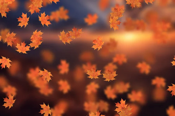 Idyllisch Mooi Wazig Herfstlandschap Met Herfstbladeren Zon Dag Buiten Gouden — Stockfoto