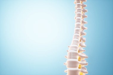 Tıbbi poster, insan kafatası anatomisi, çene röntgeni, diş fotoğrafı. Doktor çenenin röntgen hologramına bakıyor. Dişçi, ortodontist, diş ağrısı..