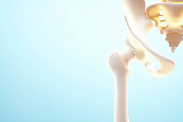 Медичне Плакатне Зображення Кісток Тазу Суглоба Хребті Артрит Запалення Перелом — стокове фото