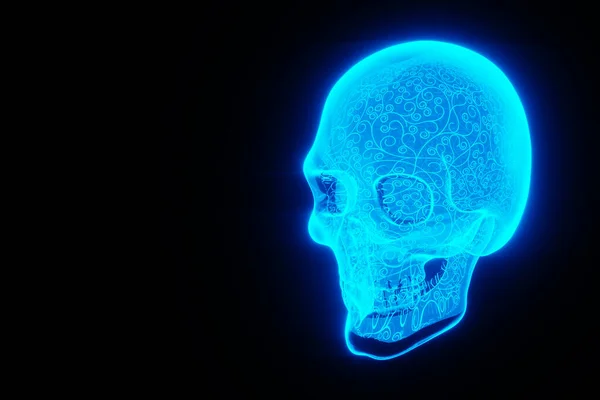 Medical Poster Anatomy Human Skull Image Bones Hologram Ray Halloween — Stock Photo, Image