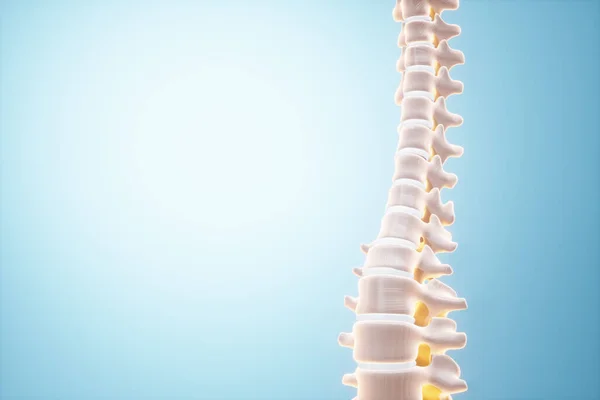 Tıbbi poster, insan kafatası anatomisi, çene röntgeni, diş fotoğrafı. Doktor çenenin röntgen hologramına bakıyor. Dişçi, ortodontist, diş ağrısı..