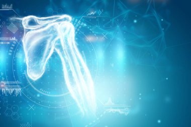 Tıbbi poster, insan kafatası anatomisi, çene röntgeni, diş fotoğrafı. Doktor çenenin röntgen hologramına bakıyor. Dişçi, ortodontist, diş ağrısı..