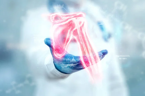 Медицинский Плакат Анатомия Человеческого Тела Рентген Плечевого Сустава Костная Голограмма — стоковое фото