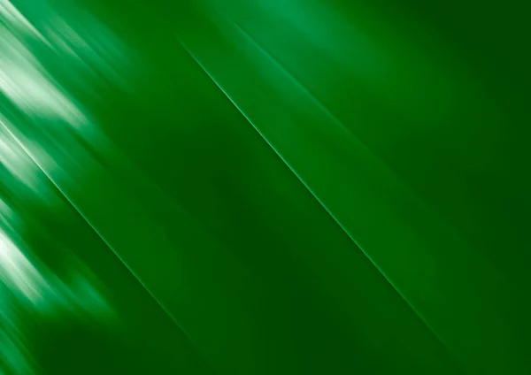 Білі Графічні Кольорові Пензлі Пензля Впливають Елемент Дизайну Зеленого Фону — стокове фото