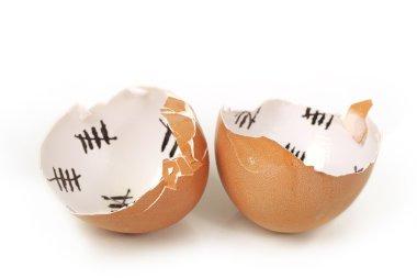 Broken egg shell closeup isolated