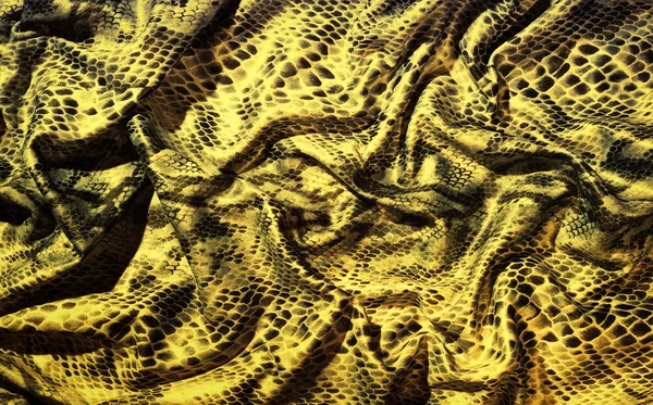 折叠式的蛇皮肤 — 图库照片