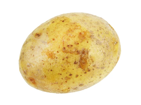 Één aardappel geïsoleerd — Stockfoto