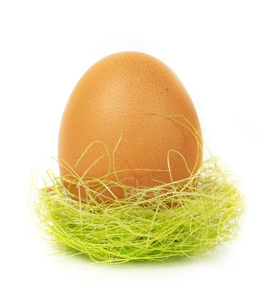 Egg in nest isolated — Stock Photo, Image