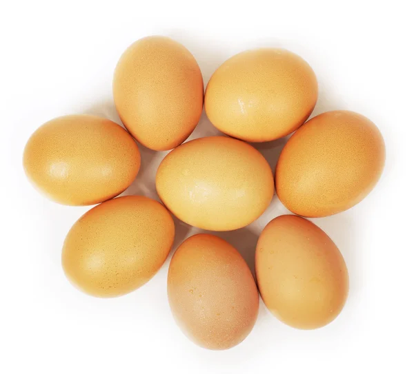 Eggs isolated — Stock Photo, Image