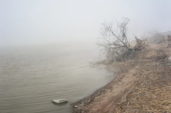 Landscape with fog — Stock Photo, Image