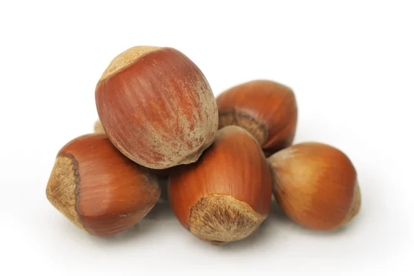 Nuts isolated Royalty Free Stock Images