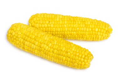 Mısır üzerinde beyaz izole