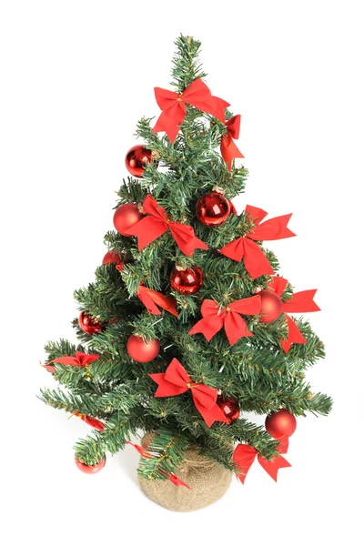 Kerstboom — Stockfoto