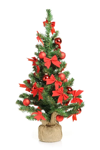 Christmas tree Stock Image