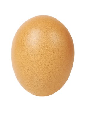 Tek yumurta
