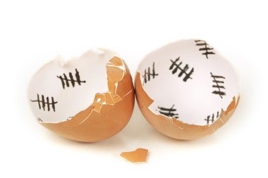Broken egg shell closeup isolated