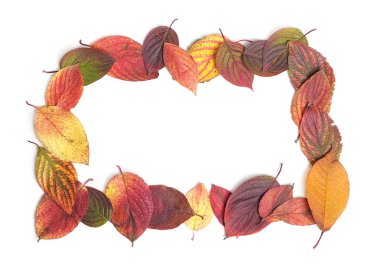 Sonbahar Yaprakları