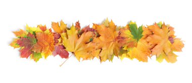 Sonbahar Yaprakları