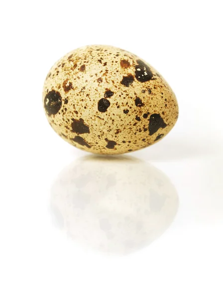 Single egg isolated on white — Stock Photo, Image