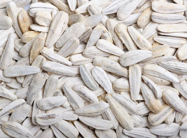 Background full of sunflower seeds — Stock Photo, Image