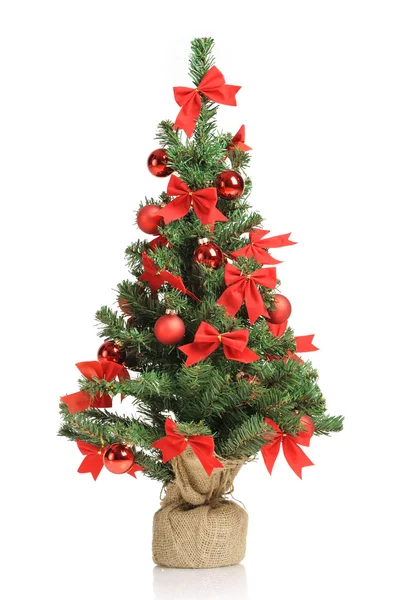 Kerstboom — Stockfoto