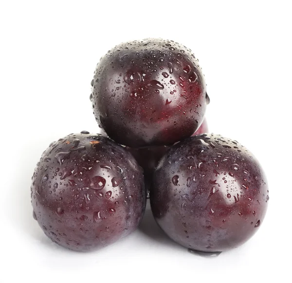 Plum fruit with dew — Stock Photo, Image