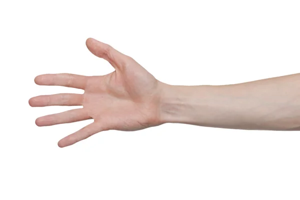 Male hand — Stock Photo, Image