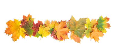 Sonbahar Yaprakları