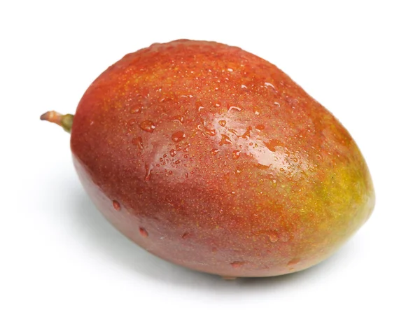 Mango — Stock Photo, Image