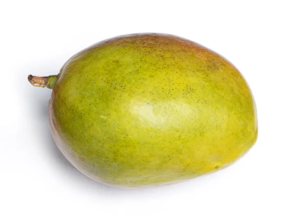 Mango — Zdjęcie stockowe