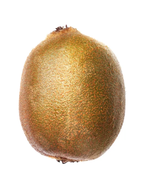 One kiwi — Stock Photo, Image