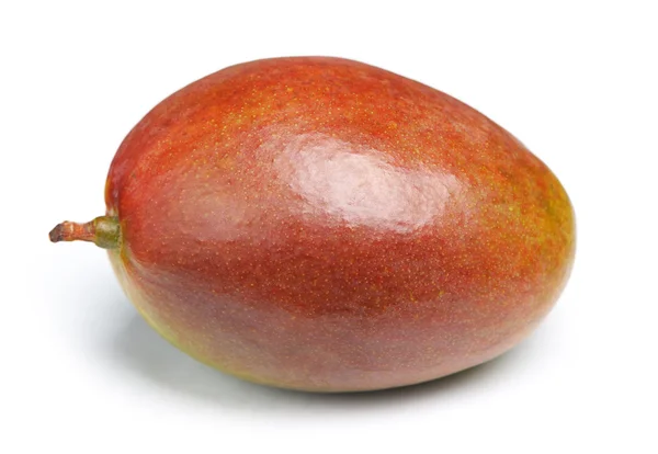 Mango. — Foto de Stock