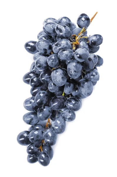 Виноград изолирован — стоковое фото