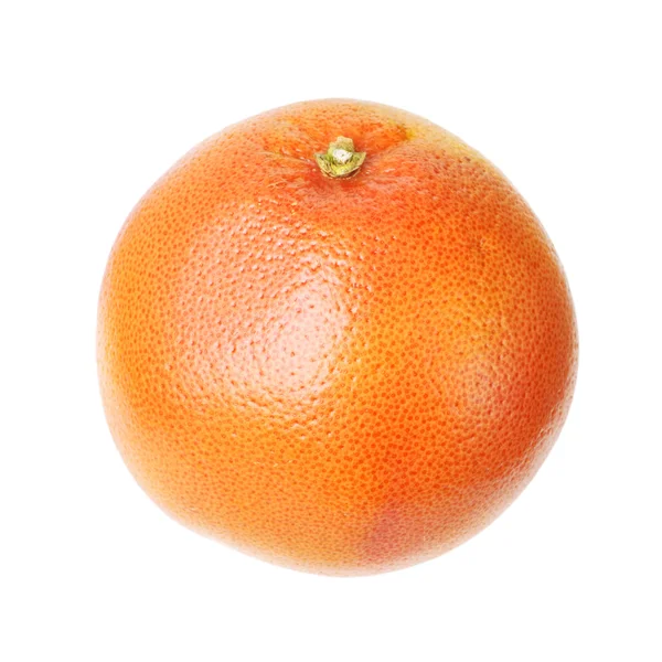 Einzelne Orangenfrucht — Stockfoto