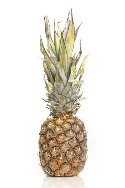 Ananas. — Stok fotoğraf