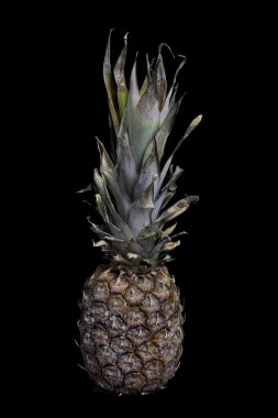 olgun ananas
