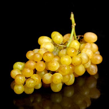Yeşil üzüm