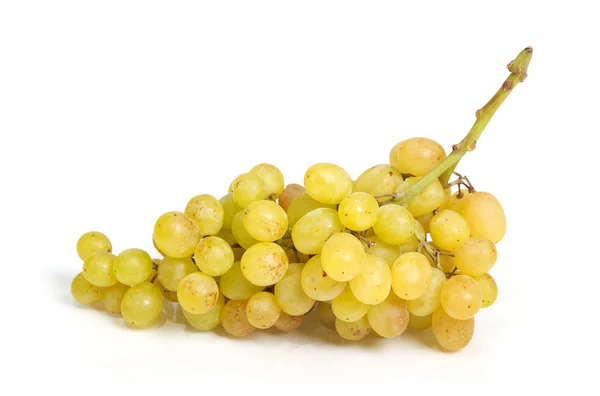 Zielony winogron — Zdjęcie stockowe