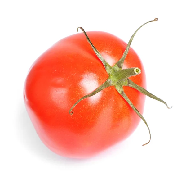 Tomate rojo fresco aislado sobre blanco —  Fotos de Stock