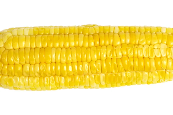 Kukoricatermesztés elszigetelt fehér — Stock Fotó