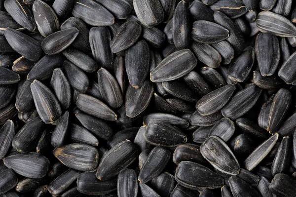 Sunflower seeds — Stock Photo, Image