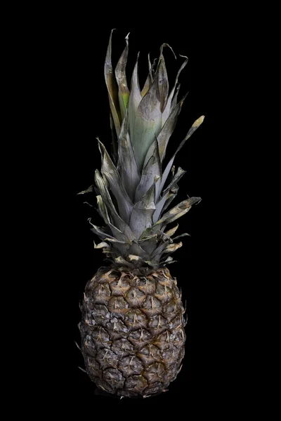 Kypsä ananas — kuvapankkivalokuva