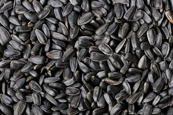 Black sunflower seeds — Stock Photo, Image