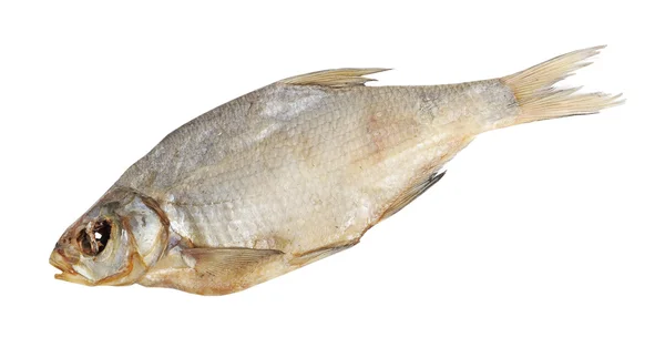 Pescado seco — Foto de Stock