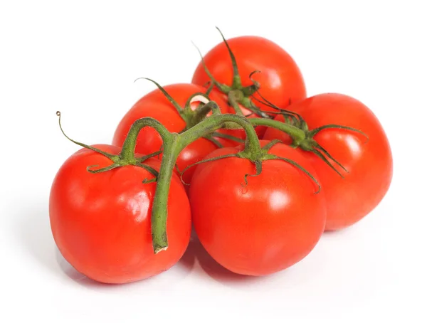 Bir avuç kırmızı domates. — Stok fotoğraf